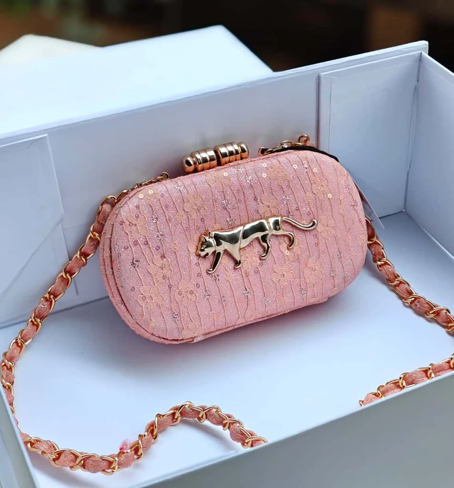 Premium Sabyasachi Designer Hand Clutches for Women (1)