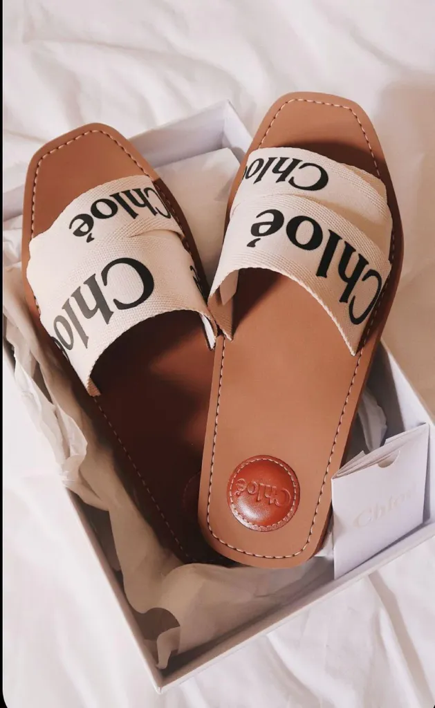 Chloe Women’s Stylish Flats (40)